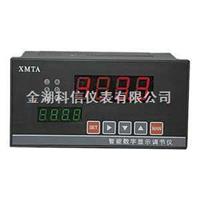 智能顯示調節儀